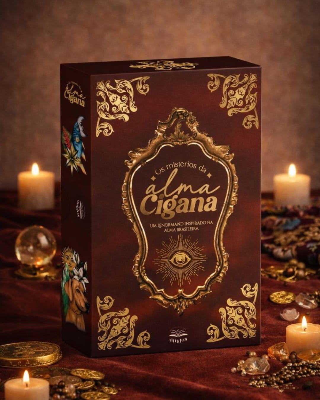 WhatsApp Image 2026-02-06 at 18.20.23 (3)